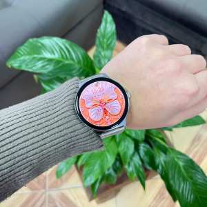 Розумний годинник Modfit Business Pro Silver Mesh