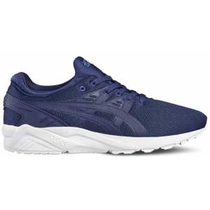 Кроссовки Asics GEL-KAYANO TRAINER EVO H707N-4949