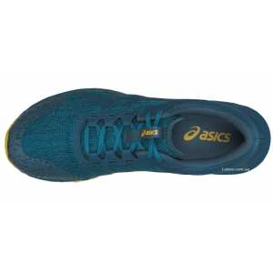 Кроссовки Asics ALPINE XT T828N-4645