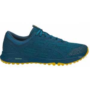 Кроссовки Asics ALPINE XT T828N-4645