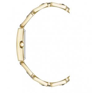 Часы Anne Klein AK/4156PYGB