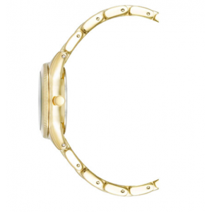 Часы Anne Klein AK/5040BKGB