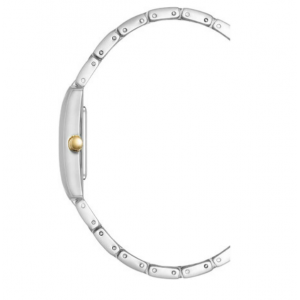 Часы Anne Klein AK/5115SVTT