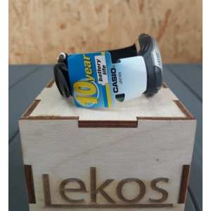 Часы Casio STR-300C-1VER