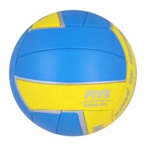 Мяч волейбольный Mikasa VXS-RDP1