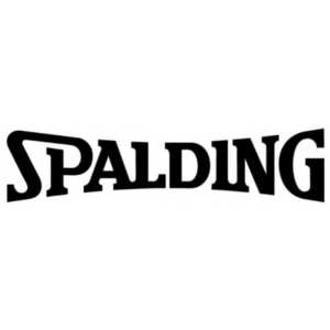 Баскетбольні м'ячі Spalding