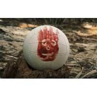 Самый известный мяч Wilson c фильма "Изгой"