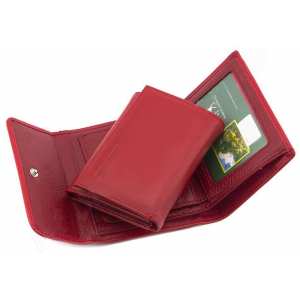 Гаманець HORTON TRW3944R