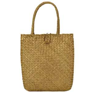 Сумка Mona WS03-3356BG