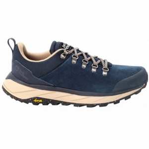 Чоловічі демісезонні кросівки Jack Wolfskin TERRAVENTURE URBAN LOW M 4055381_1169 Синій