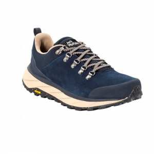 Чоловічі демісезонні кросівки Jack Wolfskin TERRAVENTURE URBAN LOW M 4055381_1169 Синій