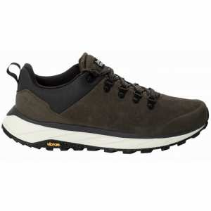 Чоловічі демісезонні кросівки Jack Wolfskin TERRAVENTURE URBAN LOW M 4055381_5719 Коричневий