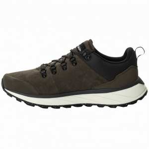 Чоловічі демісезонні кросівки Jack Wolfskin TERRAVENTURE URBAN LOW M 4055381_5719 Коричневий