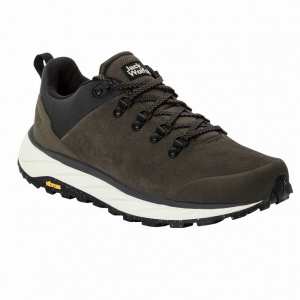 Чоловічі демісезонні кросівки Jack Wolfskin TERRAVENTURE URBAN LOW M 4055381_5719 Коричневий