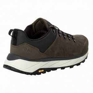 Чоловічі демісезонні кросівки Jack Wolfskin TERRAVENTURE URBAN LOW M 4055381_5719 Коричневий