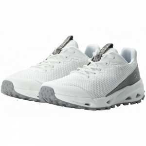 Чоловічі кросівки Jack Wolfskin PRELIGHT VENT LOW M 4064361_6291 Білий