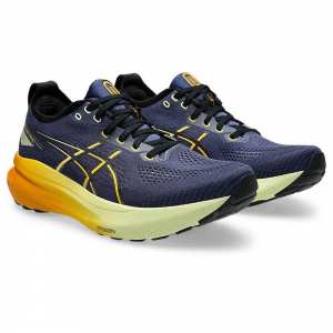 Чоловічі бігові кросівки Asics GEL-KAYANO 31 1011B867-403 Синій