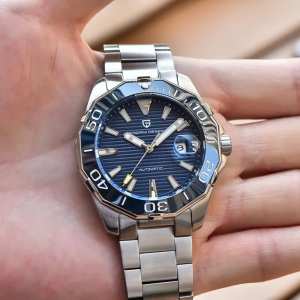 Pagani Design PD-1617 Silver-Blue