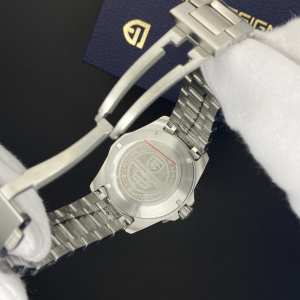 Pagani Design PD-1617 Silver-Blue