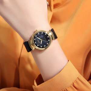 Skmei 2165GDBKBK Gold-Black-Black