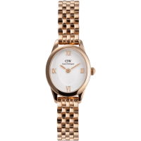 Часы Daniel Wellington Ophelia Mini Rose Gold DW00100805