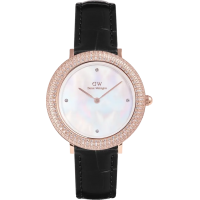 Часы Daniel Wellington Crystalline Bezel Black Croc Rose Gold DW00100827