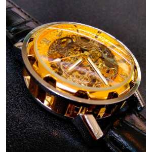 Winner Simple з автозаводом