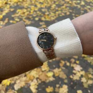 Boerni Aibisino LadyBoss