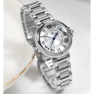 Boerni Aibisino Carreer