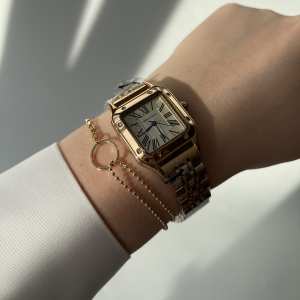 Boerni Aibisino Venice