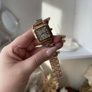 Boerni Aibisino Venice