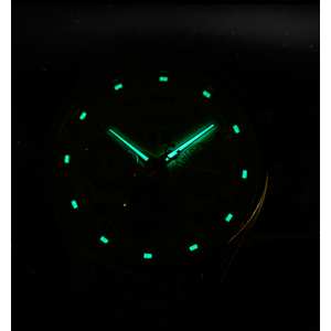 Carnival Sappfire Silver Leather Deluxe, 2 ремінці