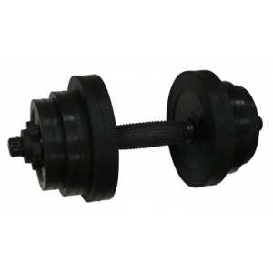 Гантель обрезиненная Newt PL 12,5 кг