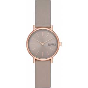 Годинник SKAGEN SKW3060