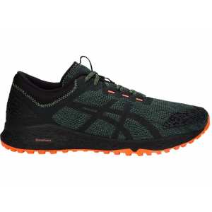 Треккинговые беговые кроссовки ASICS ALPINE XT T828N-300