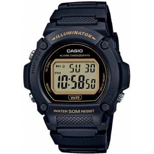 Годинник CASIO W-219H-1A2VEF