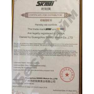 Умные часы Smart Skmei Turbo 1316 Black