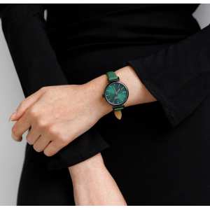 Годинник  Curren Grass