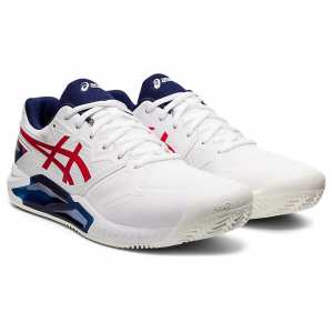Кроссовки теннисные ASICS GEL-CHALLENGER 13 CLAY L.E. 1041A289-110