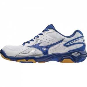 Волейбольные кроссовки Mizuno Wave Twister 4