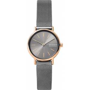 Годинник SKAGEN SKW2996